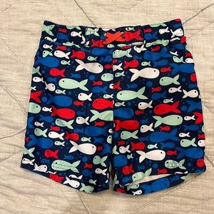 3T Circo swim trunks